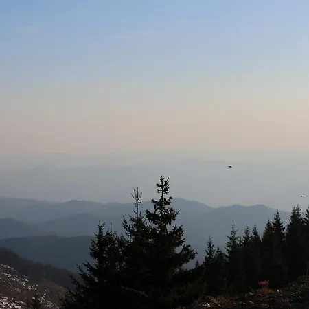 Mountain Paradise In & Out - Golija *